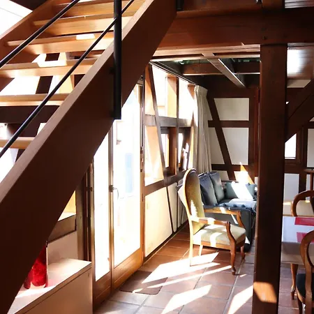 Tatil Evi Le Dorlischopf 2 Etoiles Dorlisheim